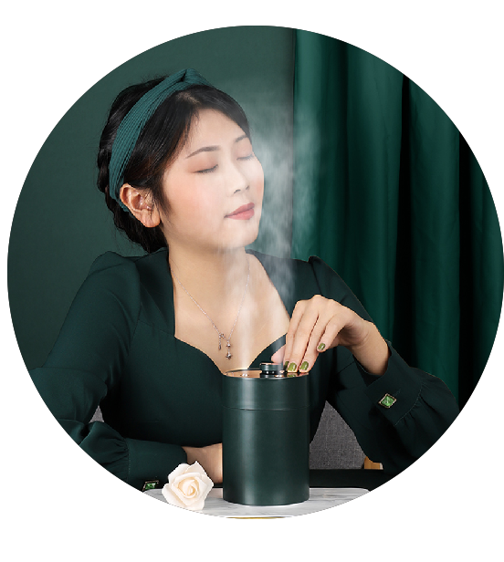 2021 USB Rechargeable Portable Spray Dual Double Hole Skin Mist Humidifiers