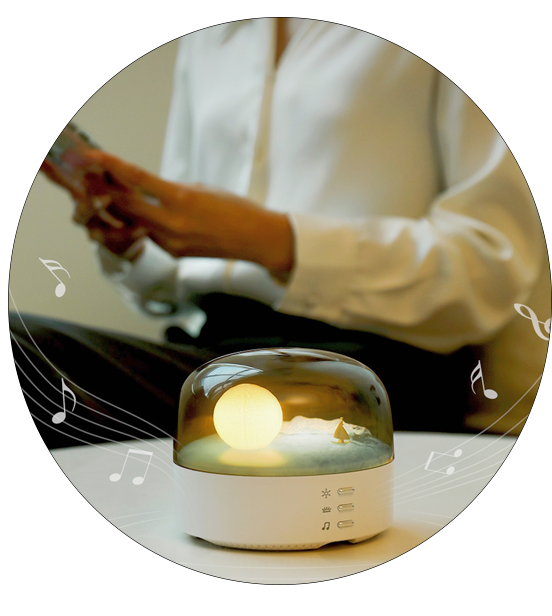 Moon Landscape Speaker