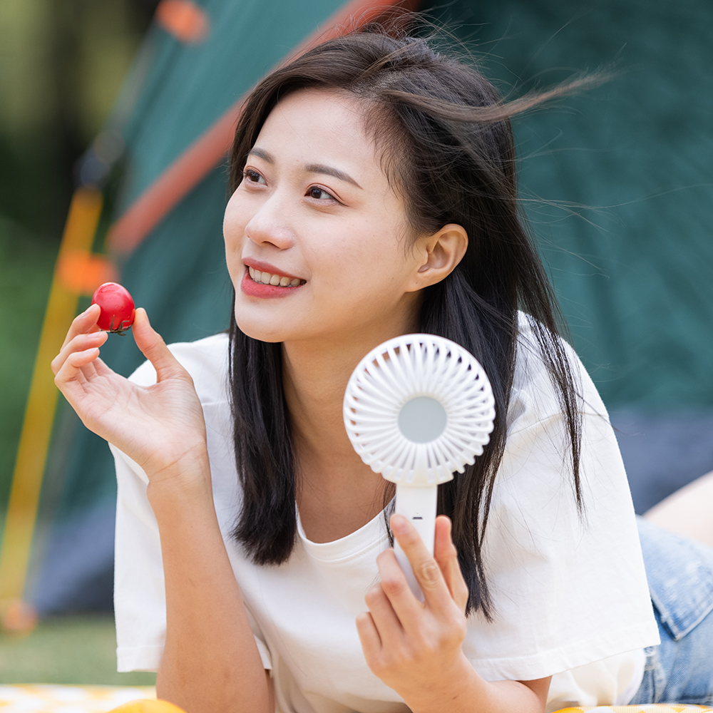 Handheld Fan